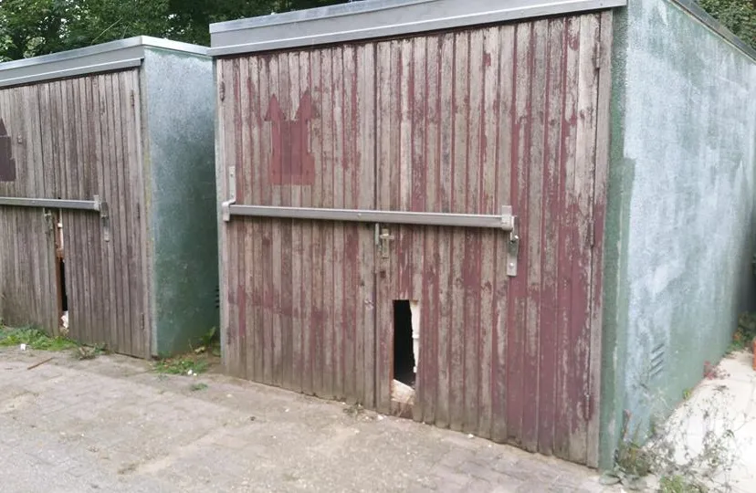 21106368 1673236469373387 6321746420961499087 n