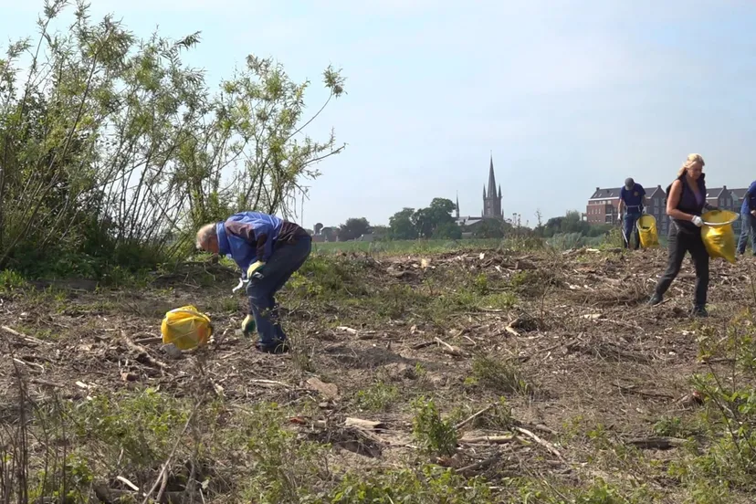 242163857 419001719844157 6506383000061321698 n