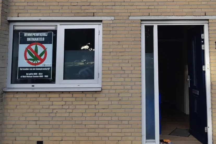 243508062 4673300079367705 7196793104205472267 n