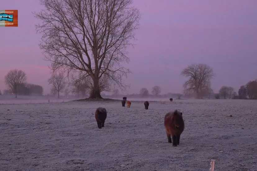 270360937 487421636335498 2412016442342869950 n