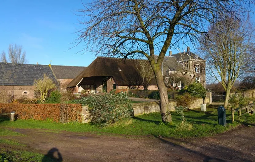 28685143 1613484102060652 112337841744248832 n