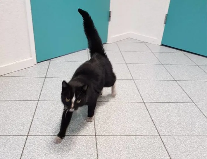 29244012 1536011926498035 2334550287152316416 n e1521145742323