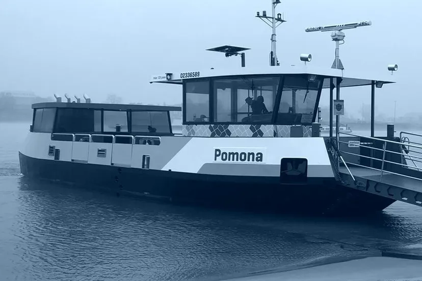 309347158 196434099417165 7172882044358550676 n