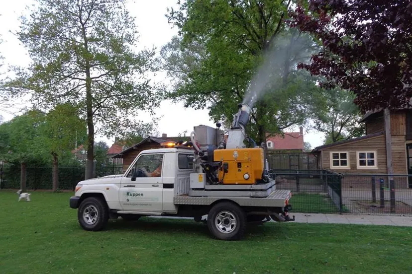 31171550 1605243766238308 8300933535506628608 n