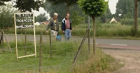 32159619 511009949301454 3402705342247731200 n