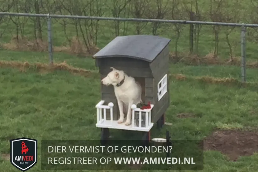 32744233 1596645417101352 1238977509458968576 n