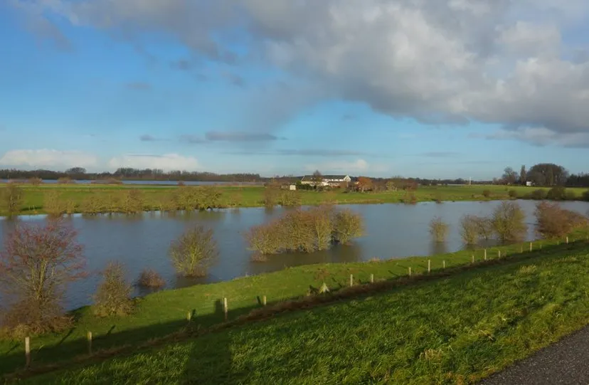 33087642 1690917827650612 6386744406422061056 n