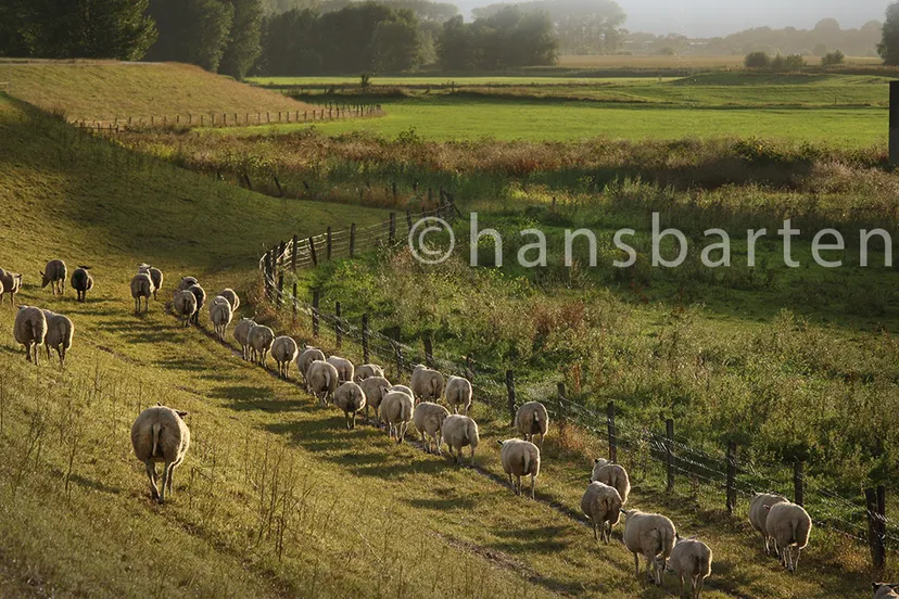 3378 land van de rrivier thv wamel hansbarten boek2020 lr ivt