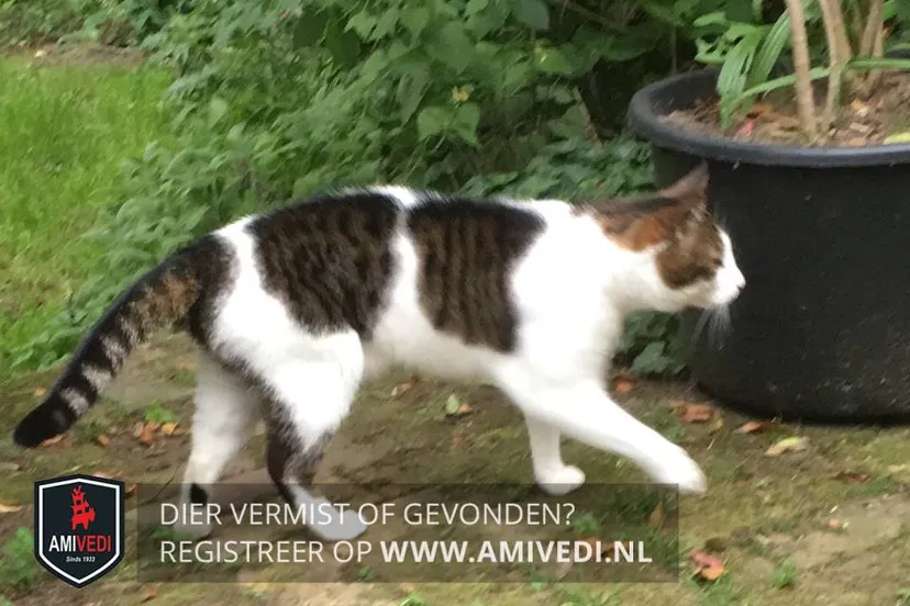 42190359 1772373182861907 3284183645245407232 n