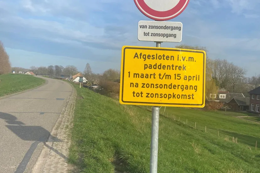 432296985 714264737546671 669236896803053739 n