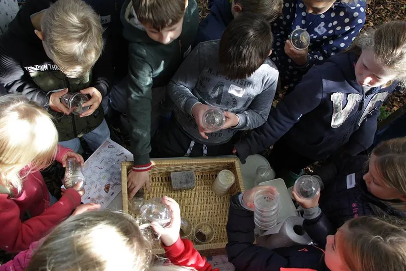 43284953 2142200186107416 8504916362915741696 n