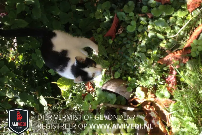 49393456 1914916355274255 5553634035055460352 n