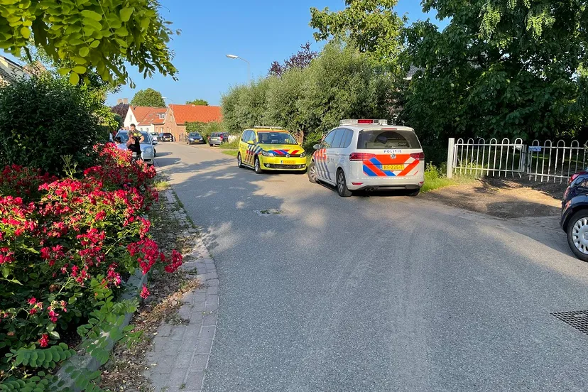 5e93c213 6e9f 4d23 94ce eee027893d34