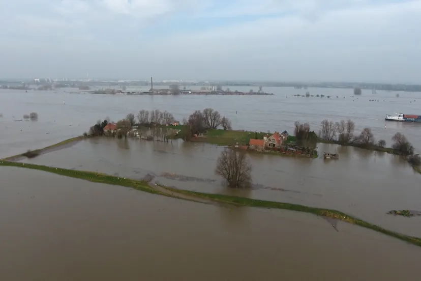 bij hoog water wamel