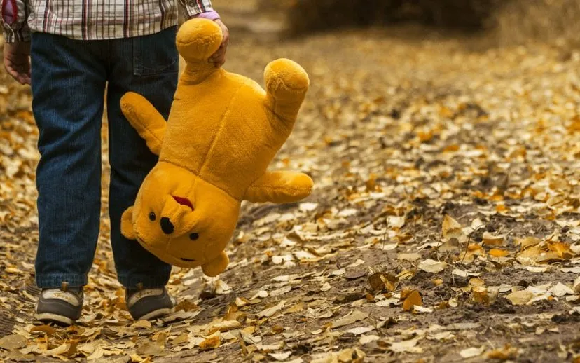 child 1051288 960 720 915x518