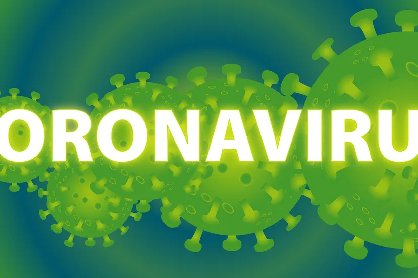 corona 4887158 19201