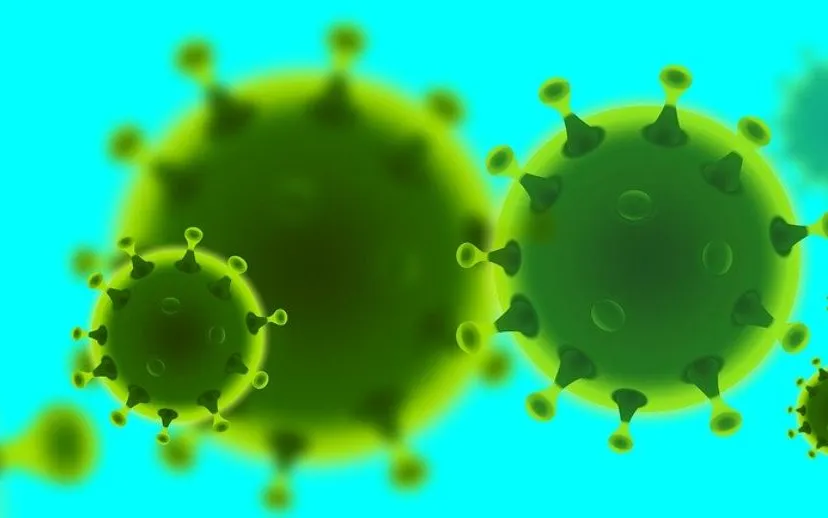 corona 4928668 1280 915x5181