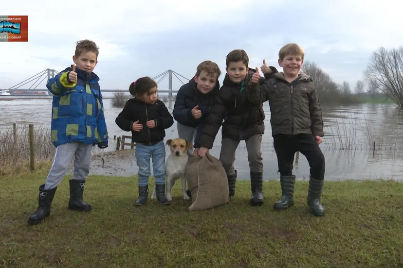 de waal duikt in zijn winterbed foto jos kruisbergen
