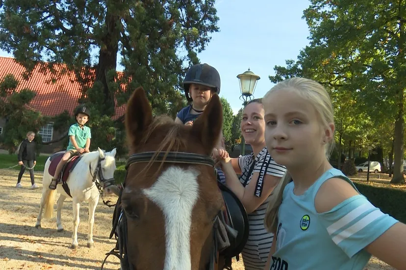foto wijchense paardenmarkt