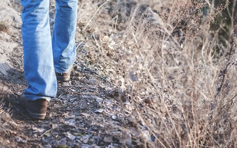 hiking 1149985 960 720 915x518 1