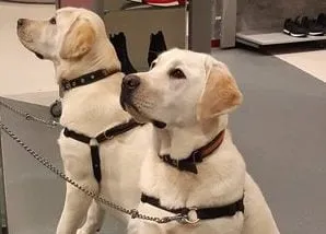 img 20190206 wa0016 e1550844833776