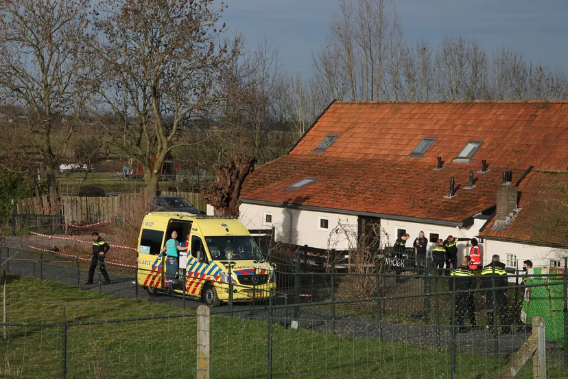 img 5019 copy 3204x2136