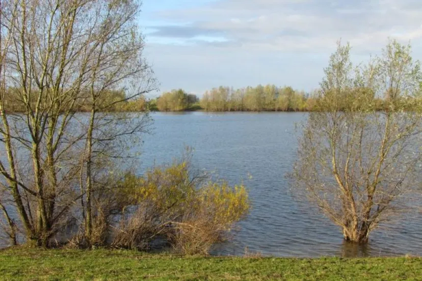 img 5863 1 scaled e1675252469481