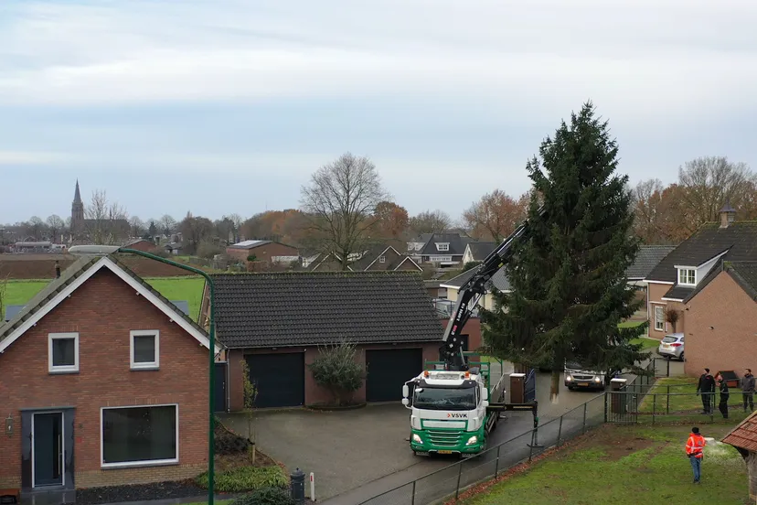 kertboom in berghem foto jos kruisbergen