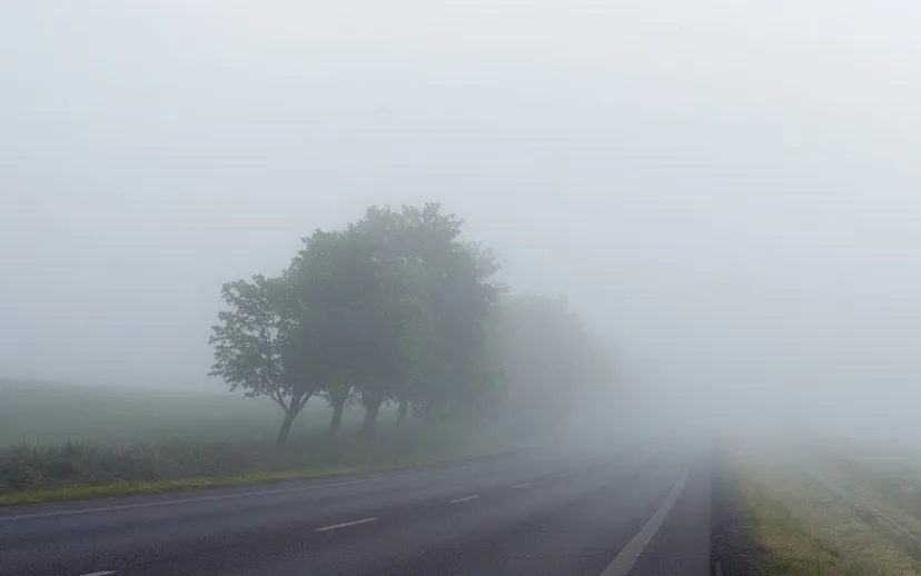 misty 1208267 960 720 915x518