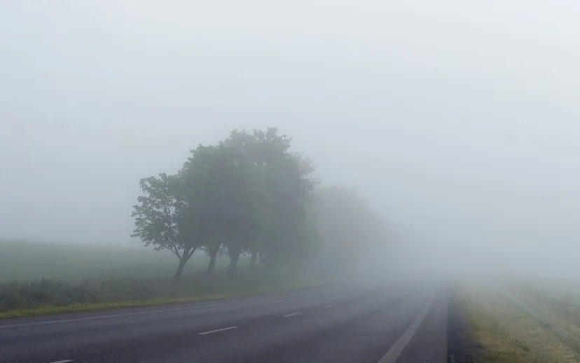 misty 1208267 960 720 915x518