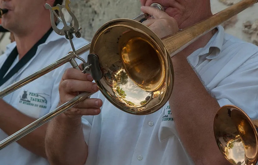 musician 1627208 960 720