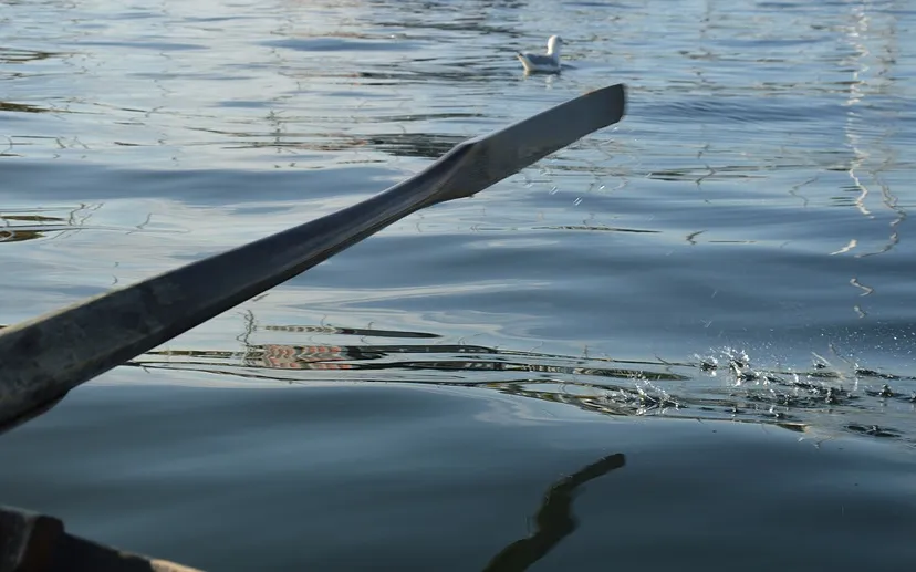 ocean 2867324 960 720