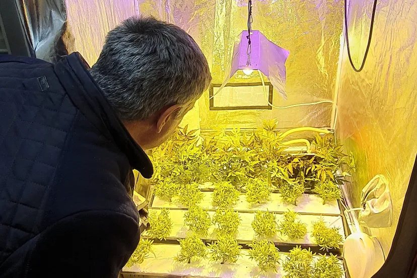 ondermijningsavond raadsleden gemeenten tweestromenland 2 e1583876864302