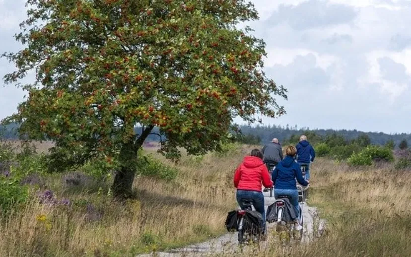 people 4554681 640 915x518