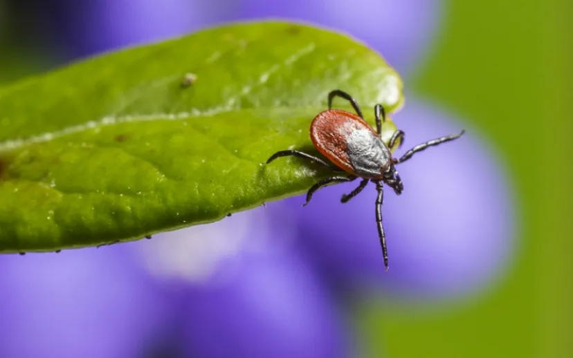 screenshot 20220427 110326 915x518 1