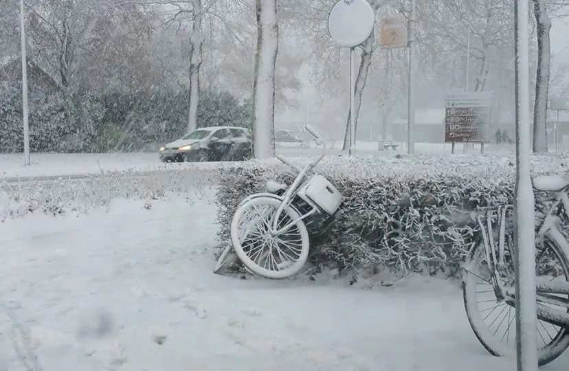 sneeuw reinier jansen