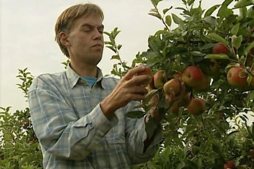 thijs banken biologische fruitteler