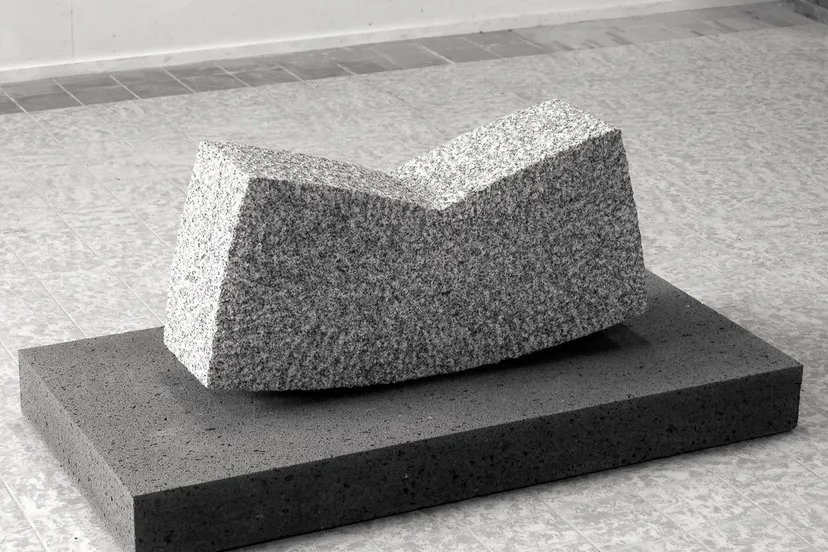 w zonder titel 2016 afm 120 x 60 x 52 foto 2 squashed