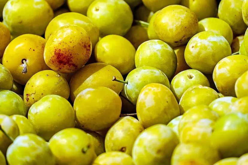 yellow plums 1595378 960 720