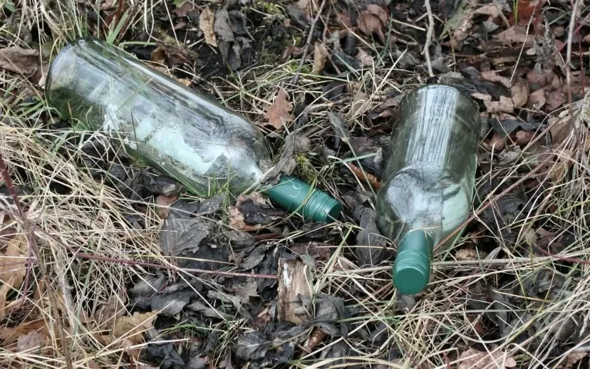 zwerfafval flessen manfred antranias zimmer via pixabay cc0 915x518