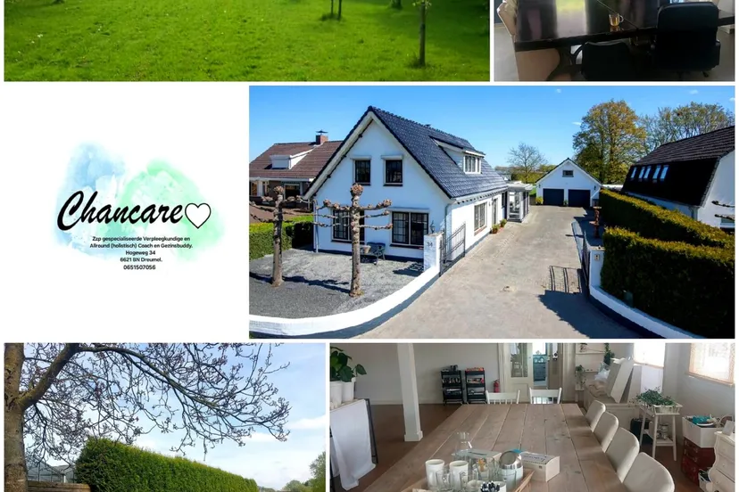 21456ba2 776c 480d bf73 a11f89bac920 1536x1536 1