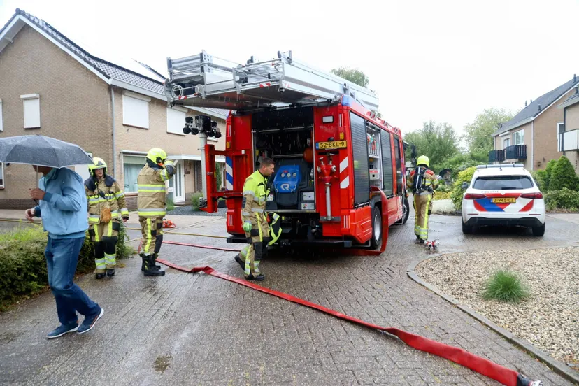 5edd1387 2516 4761 8dc3 7092b84cadf5