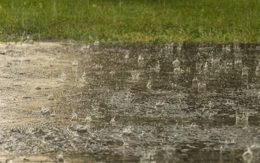 rain-3954273-1280-regen-915x518