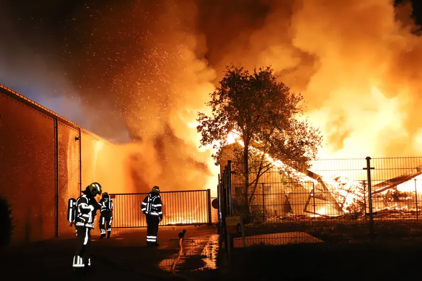 5eb42ef2-2f0b-4dcf-95f6-2ab0c43e6293