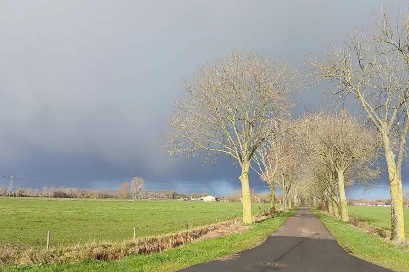 WhatsApp Image 2025-12-06 at 10.39.15