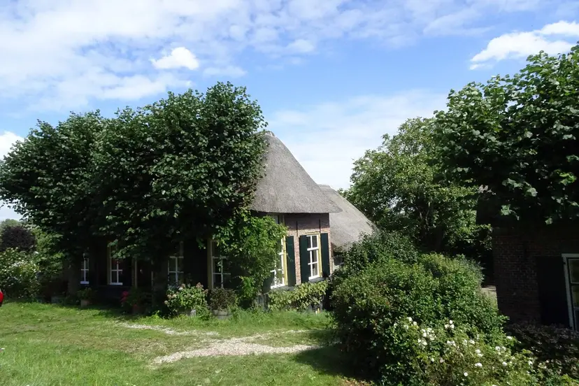 T-Boerderij_Dreumel_2023-08-12