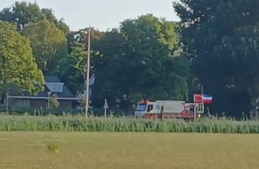 boeren silvan