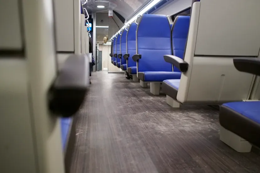 11385152783 6d0cbacca7 o scaled