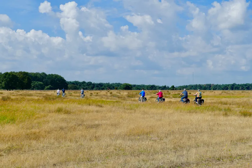 bicycle gd6189624e 1920