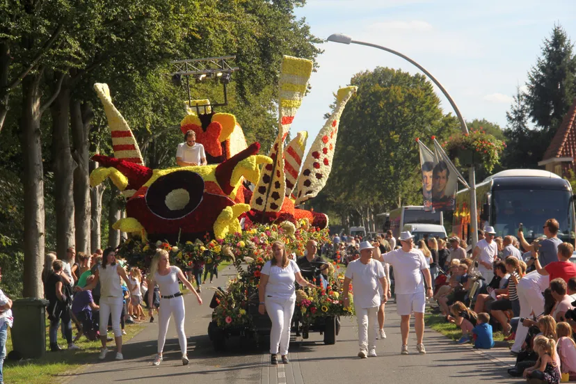 corso frederiksoord hielke roelevink